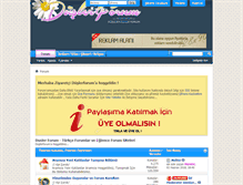 Tablet Screenshot of duslerforum.org